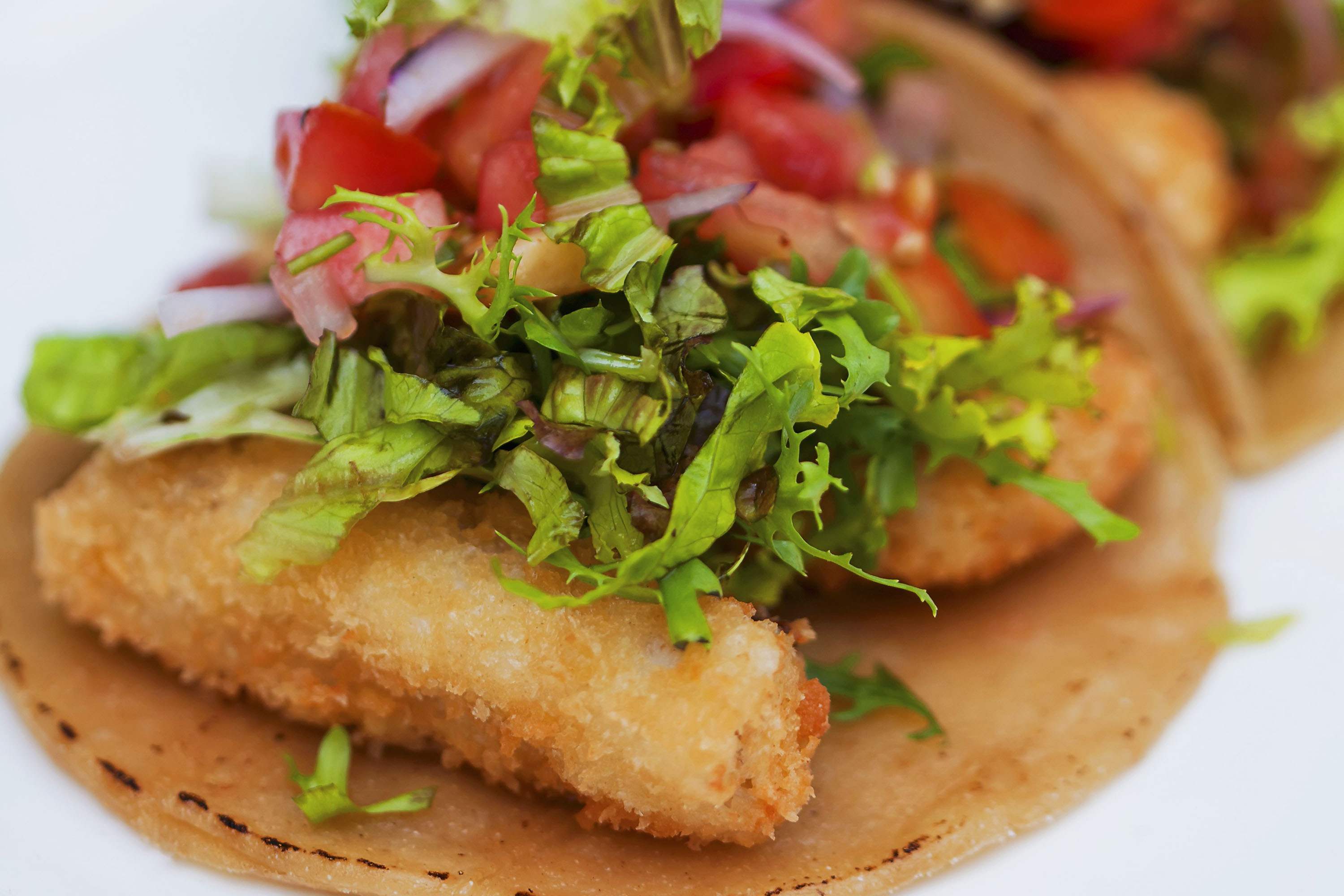 Crispy Fish Tacos Recipe