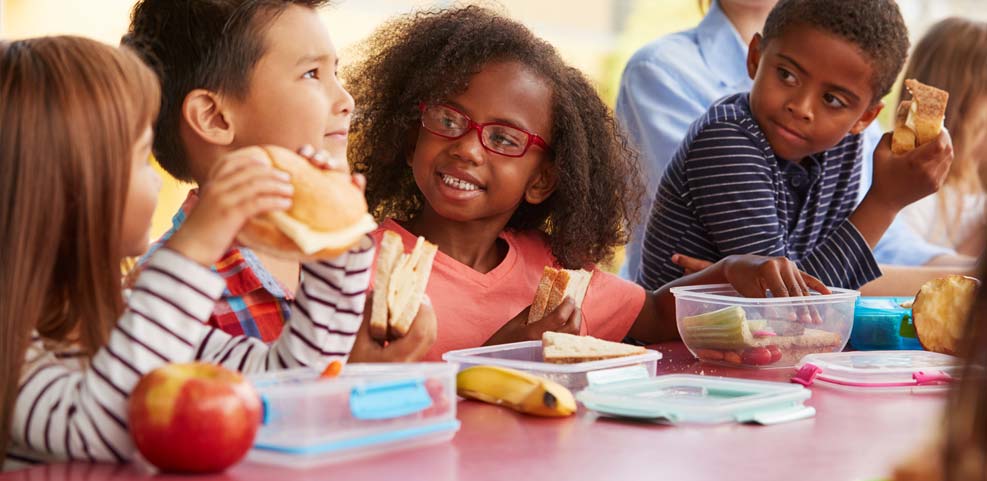 High Protein School Lunch Ideas for the Kids